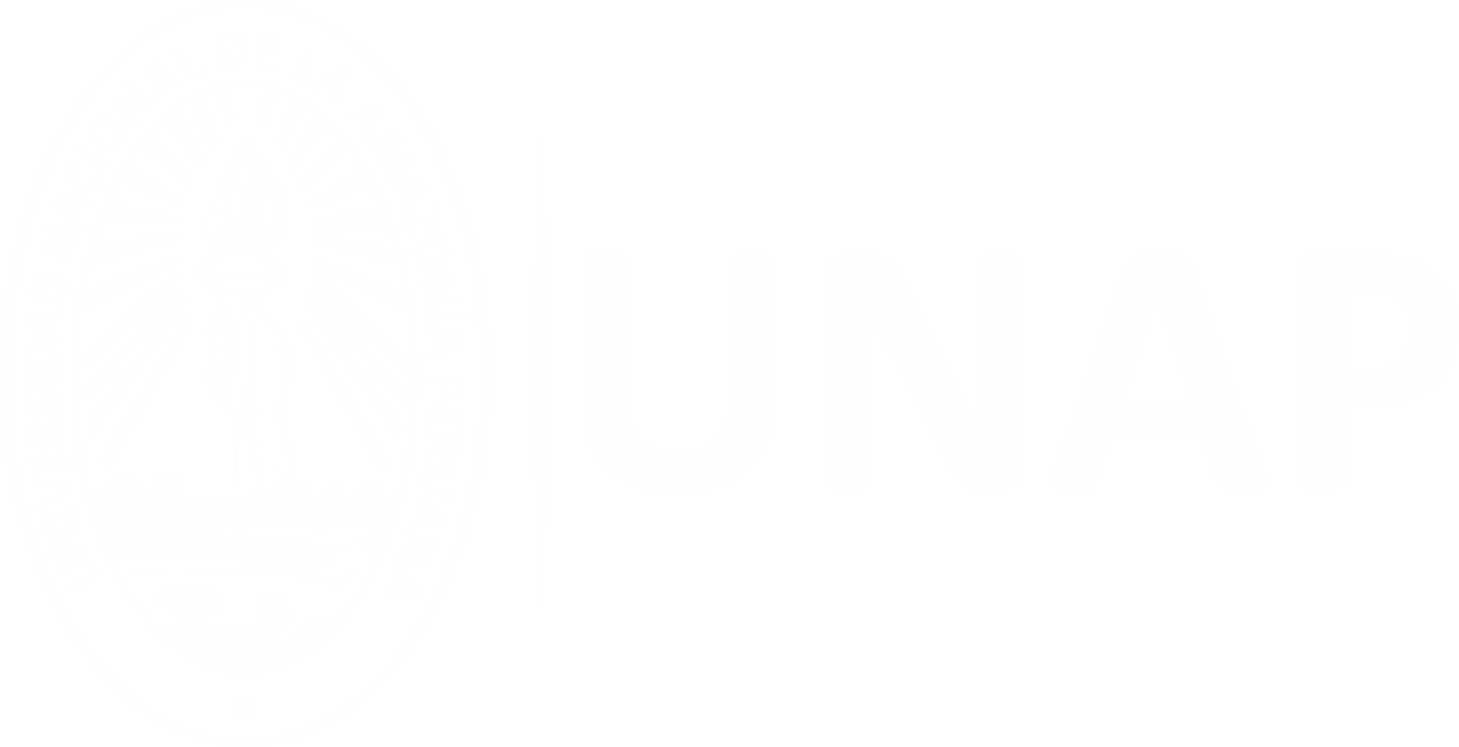 Logo de la UNAP